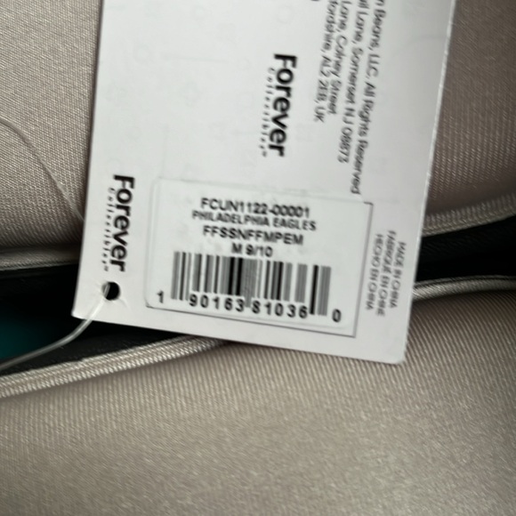 NFL Philadelphia Eagles slides - Picture 9 of 11